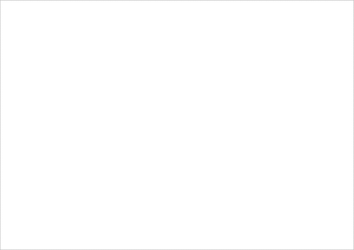 protoype animé du site internet